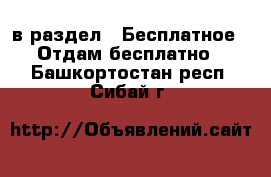  в раздел : Бесплатное » Отдам бесплатно . Башкортостан респ.,Сибай г.